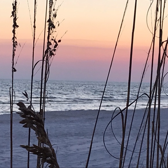 Meet your Posher, JR - Picture 1 of 1